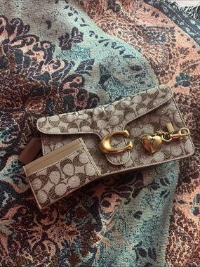 mushroom crystal tabby 26 + card case + charm